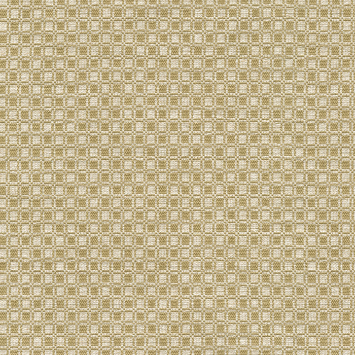 Outside the Box Gold 472213 by PK Lifestyles Fabric Expressionist VI 74% Polyester, 26% Cotton India 51000 H: 1, V: 0.875 54 - Fabric Carolina -