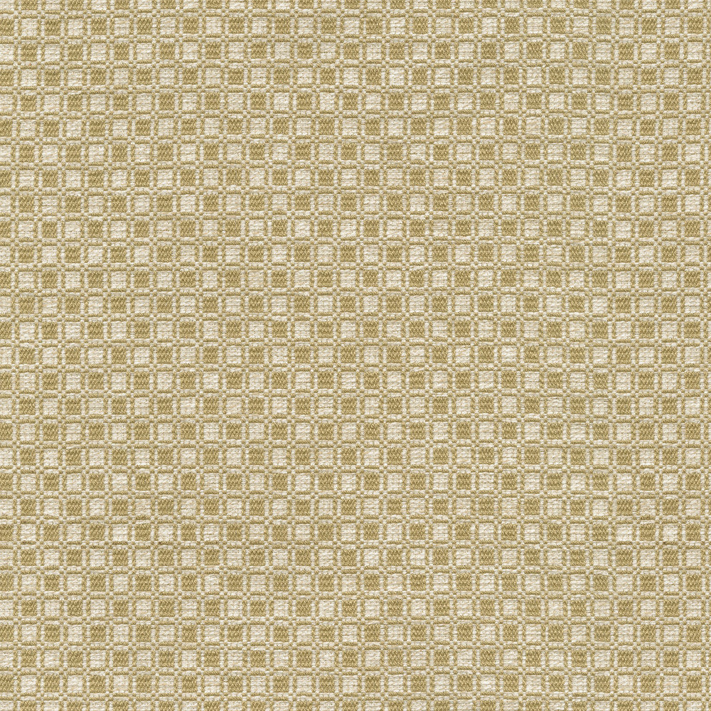 Outside the Box Gold 472213 by PK Lifestyles Designer Fabric Expressionist VI 74% Polyester, 26% Cotton India 51000 H: 1, V: 0.875 54 - Swanky Fabrics -