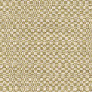 Outside the Box Gold 472213 by PK Lifestyles Fabric