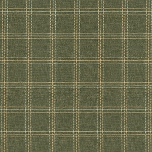 Catalina Check Juniper 472264 by PK Lifestyles Fabric