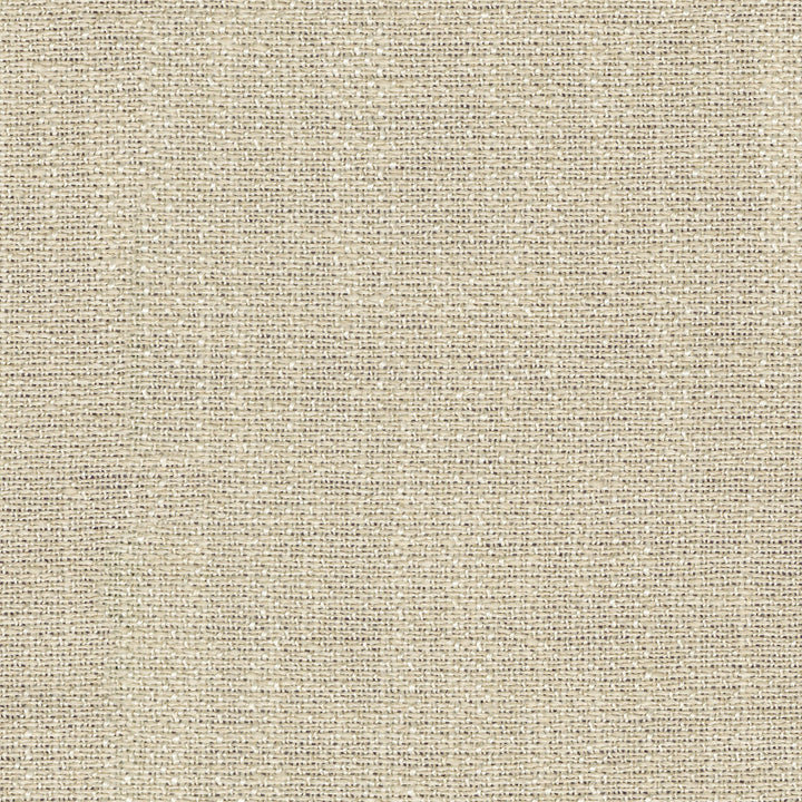 Zachary Sheer Champagne 472452 by PK Lifestyles Fabric Portiere VI 100% Polyester India N/A H: N/A, V: N/A 118 - Fabric Carolina -