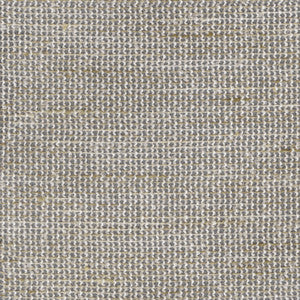Lucas Sheer Tussah 472460 by PK Lifestyles Fabric