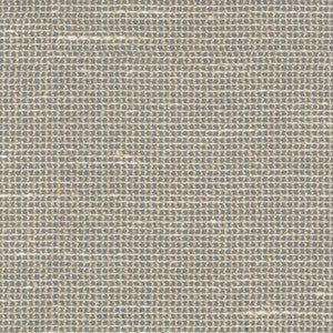 Lucas Sheer Champagne 472463 by PK Lifestyles Fabric