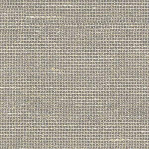 Lucas Sheer Champagne 472463 by PK Lifestyles Fabric