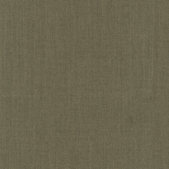 Paxton Woodland 472550 by PK Lifestyles Fabric PKL Studio June 2025 Base: 100% Polyester India 51000 H: N/A, V: N/A 55 - Fabric Carolina -