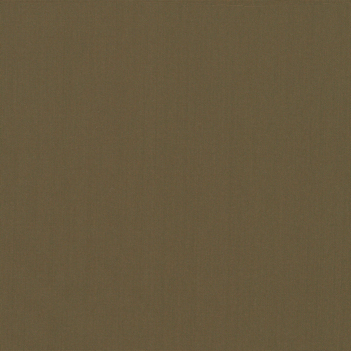 Belcourt Mirage 472710 by PK Lifestyles Fabric PKL Studio June 2025 52% Fire Retardant Polyester, 48% Polyester Turkey 18000 H: N/A, V: N/A 57 - Fabric Carolina -