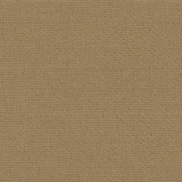 Belcourt Praline 472711 by PK Lifestyles Fabric PKL Studio June 2025 52% Fire Retardant Polyester, 48% Polyester Turkey 18000 H: N/A, V: N/A 57 - Fabric Carolina -