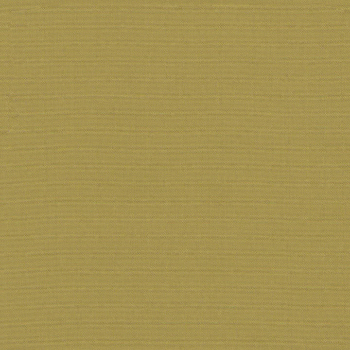 Belcourt Gold 472712 by PK Lifestyles Fabric PKL Studio June 2025 52% Fire Retardant Polyester, 48% Polyester Turkey 18000 H: N/A, V: N/A 57 - Fabric Carolina -
