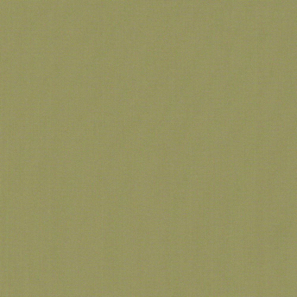 Belcourt Desert Bloom 472713 by PK Lifestyles Fabric PKL Studio June 2025 52% Fire Retardant Polyester, 48% Polyester Turkey 18000 H: N/A, V: N/A 57 - Fabric Carolina -