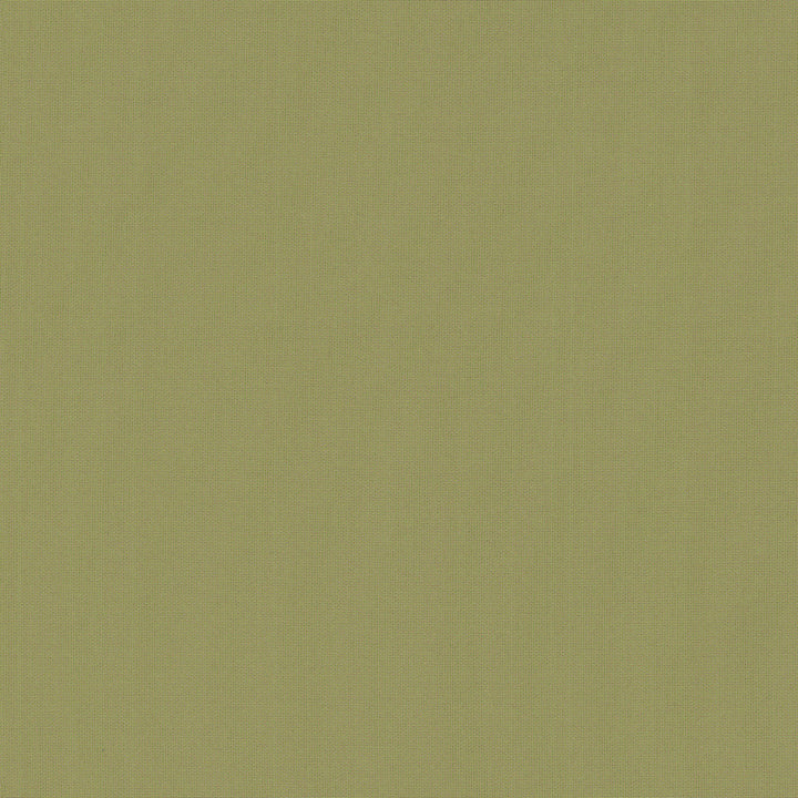 Belcourt Desert Bloom 472713 by PK Lifestyles Fabric PKL Studio June 2025 52% Fire Retardant Polyester, 48% Polyester Turkey 18000 H: N/A, V: N/A 57 - Fabric Carolina -
