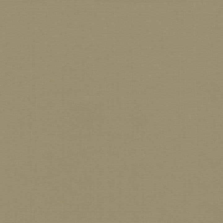 Belcourt Fawn 472714 by PK Lifestyles Fabric PKL Studio June 2025 52% Fire Retardant Polyester, 48% Polyester Turkey 18000 H: N/A, V: N/A 57 - Fabric Carolina -
