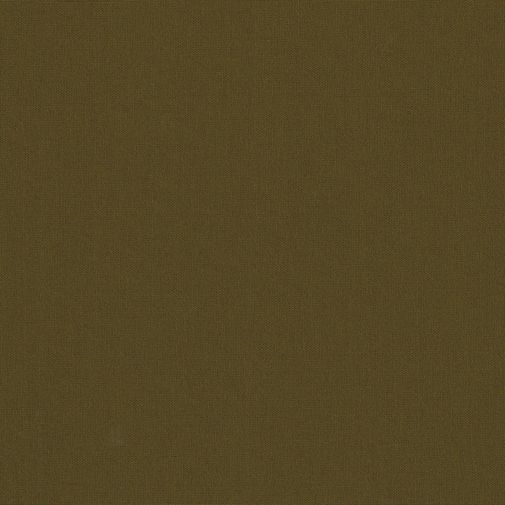 Belcourt Bronze 472717 by PK Lifestyles Fabric PKL Studio June 2025 52% Fire Retardant Polyester, 48% Polyester Turkey 18000 H: N/A, V: N/A 57 - Fabric Carolina -