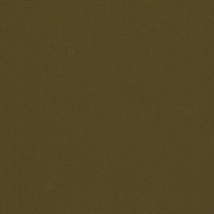 Belcourt Bronze 472717 by PK Lifestyles Designer Fabric PKL Studio June 2025 52% Fire Retardant Polyester, 48% Polyester Turkey 18000 H: N/A, V: N/A 57 - Swanky Fabrics -