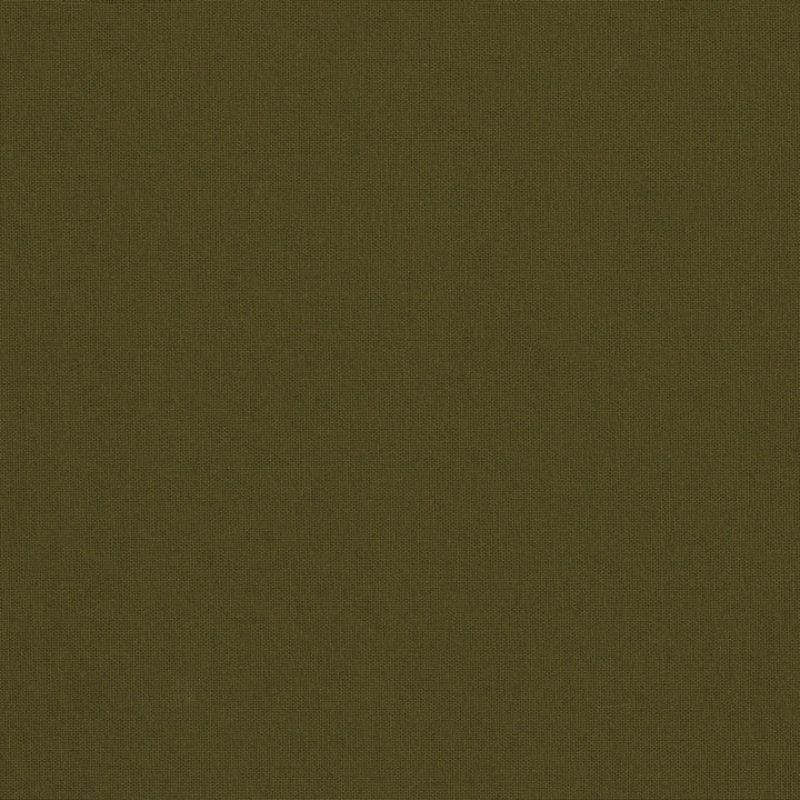 Belcourt Pyrite 472718 by PK Lifestyles Fabric PKL Studio June 2025 52% Fire Retardant Polyester, 48% Polyester Turkey 18000 H: N/A, V: N/A 57 - Fabric Carolina -