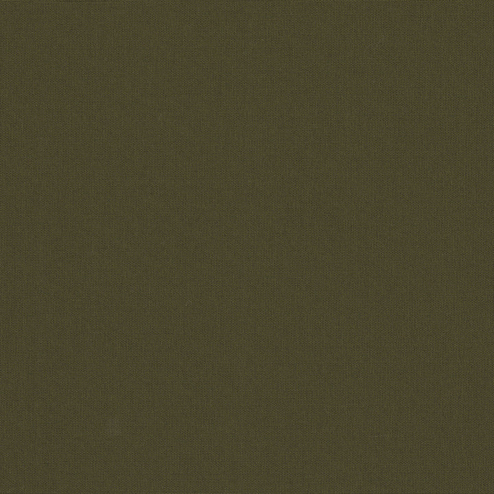 Belcourt Firefly 472719 by PK Lifestyles Fabric PKL Studio June 2025 52% Fire Retardant Polyester, 48% Polyester Turkey 18000 H: N/A, V: N/A 57 - Fabric Carolina -