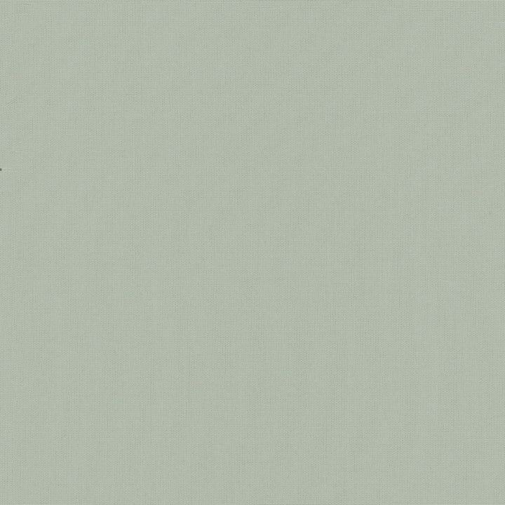 Belcourt Fog 472722 by PK Lifestyles Fabric PKL Studio June 2025 52% Fire Retardant Polyester, 48% Polyester Turkey 18000 H: N/A, V: N/A 57 - Fabric Carolina -