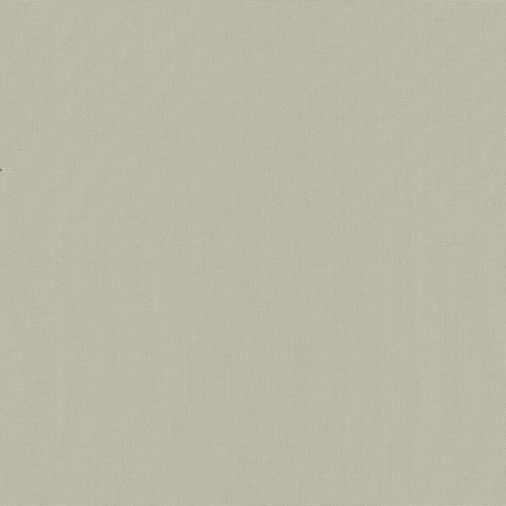 Belcourt Birch 472723 by PK Lifestyles Fabric PKL Studio June 2025 52% Fire Retardant Polyester, 48% Polyester Turkey 18000 H: N/A, V: N/A 57 - Fabric Carolina -