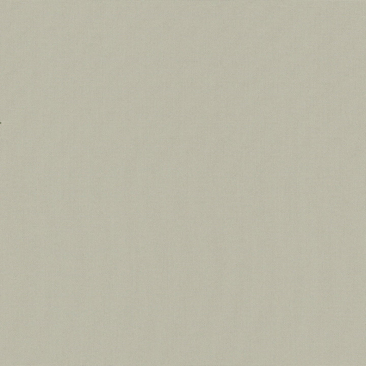 Belcourt Birch 472723 by PK Lifestyles Designer Fabric PKL Studio June 2025 52% Fire Retardant Polyester, 48% Polyester Turkey 18000 H: N/A, V: N/A 57 - Swanky Fabrics -