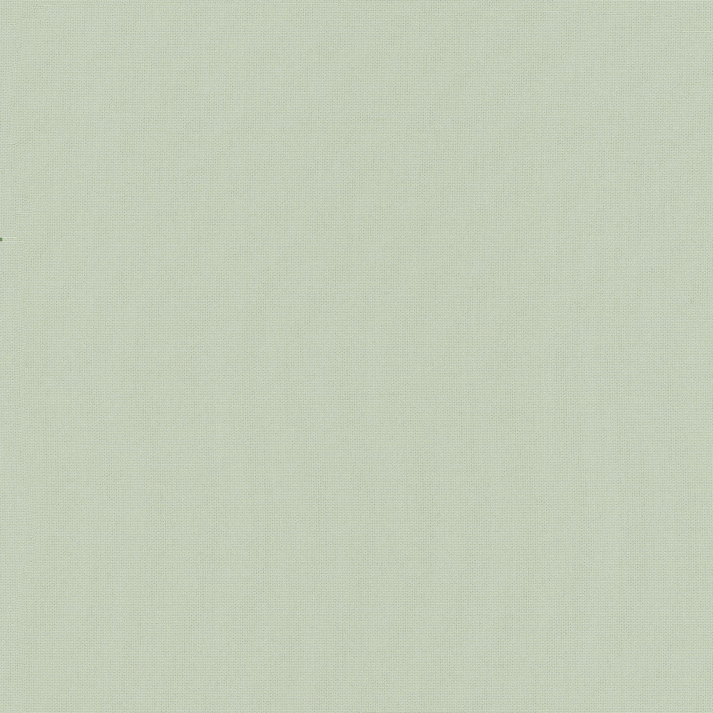 Belcourt Bamboo 472724 by PK Lifestyles Fabric PKL Studio June 2025 52% Fire Retardant Polyester, 48% Polyester Turkey 18000 H: N/A, V: N/A 57 - Fabric Carolina -