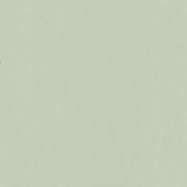 Belcourt Bamboo 472724 by PK Lifestyles Fabric PKL Studio June 2025 52% Fire Retardant Polyester, 48% Polyester Turkey 18000 H: N/A, V: N/A 57 - Fabric Carolina -