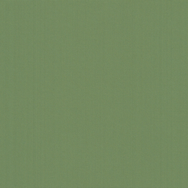 Belcourt Leaf 472725 by PK Lifestyles Fabric PKL Studio June 2025 52% Fire Retardant Polyester, 48% Polyester Turkey 18000 H: N/A, V: N/A 57 - Fabric Carolina -