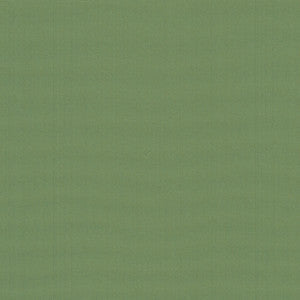Belcourt Leaf 472725 by PK Lifestyles Fabric