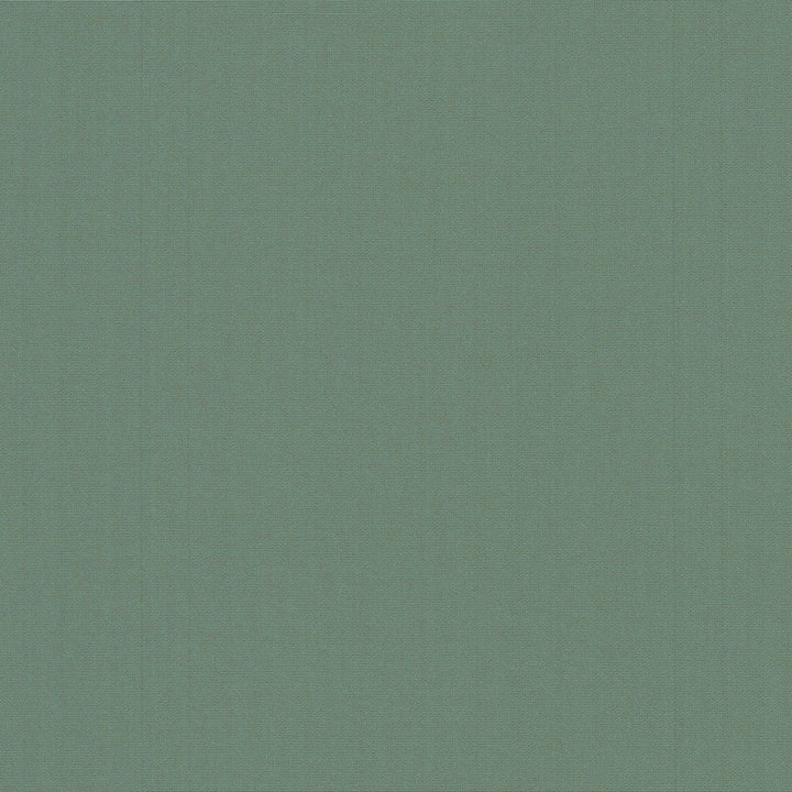 Belcourt Herbal 472726 by PK Lifestyles Designer Fabric PKL Studio June 2025 52% Fire Retardant Polyester, 48% Polyester Turkey 18000 H: N/A, V: N/A 57 - Swanky Fabrics -