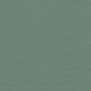 Belcourt Herbal 472726 by PK Lifestyles Fabric