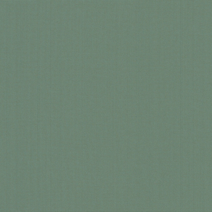 Belcourt Herbal 472726 by PK Lifestyles Fabric PKL Studio June 2025 52% Fire Retardant Polyester, 48% Polyester Turkey 18000 H: N/A, V: N/A 57 - Fabric Carolina -