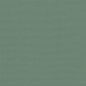 Belcourt Herbal 472726 by PK Lifestyles Fabric