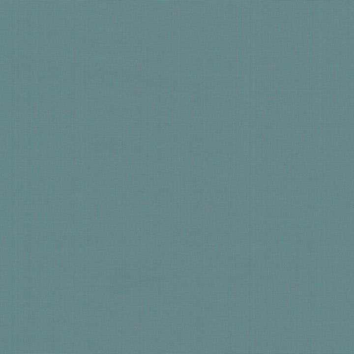 Belcourt Lagoon 472727 by PK Lifestyles Fabric PKL Studio June 2025 52% Fire Retardant Polyester, 48% Polyester Turkey 18000 H: N/A, V: N/A 57 - Fabric Carolina -