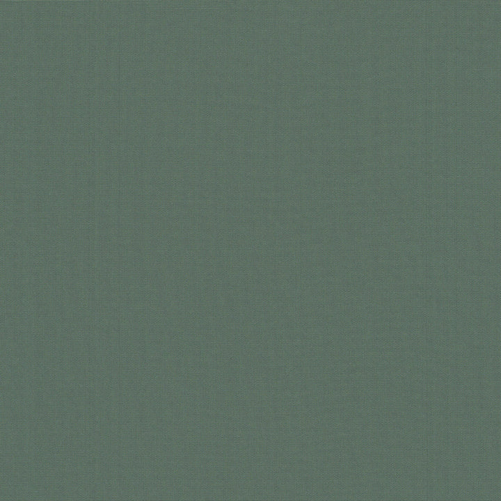 Belcourt Blue Agave 472728 by PK Lifestyles Fabric PKL Studio June 2025 52% Fire Retardant Polyester, 48% Polyester Turkey 18000 H: N/A, V: N/A 57 - Fabric Carolina -