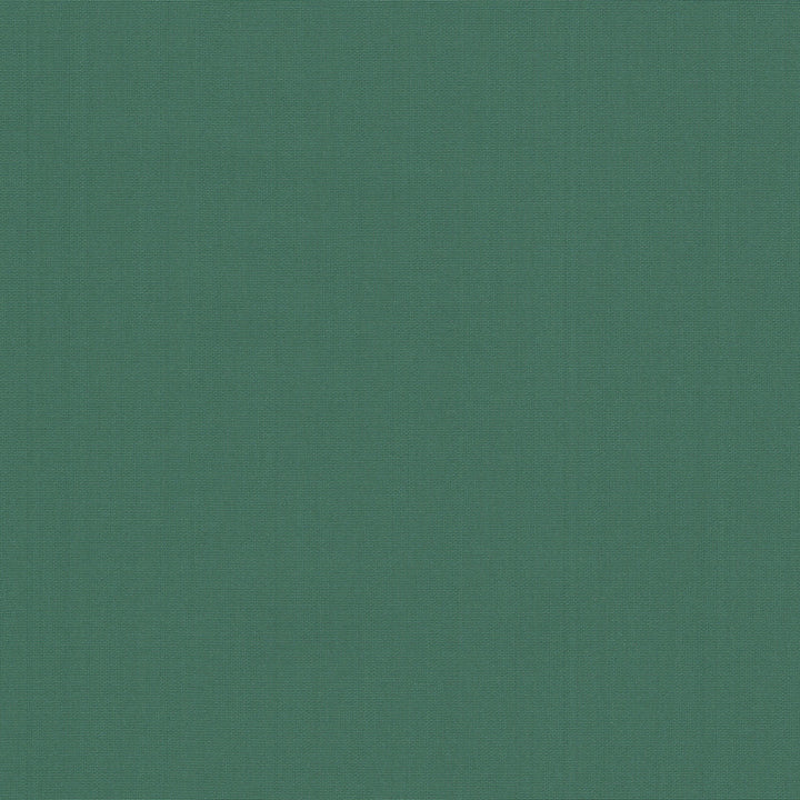 Belcourt Aquamarine 472729 by PK Lifestyles Fabric PKL Studio June 2025 52% Fire Retardant Polyester, 48% Polyester Turkey 18000 H: N/A, V: N/A 57 - Fabric Carolina -