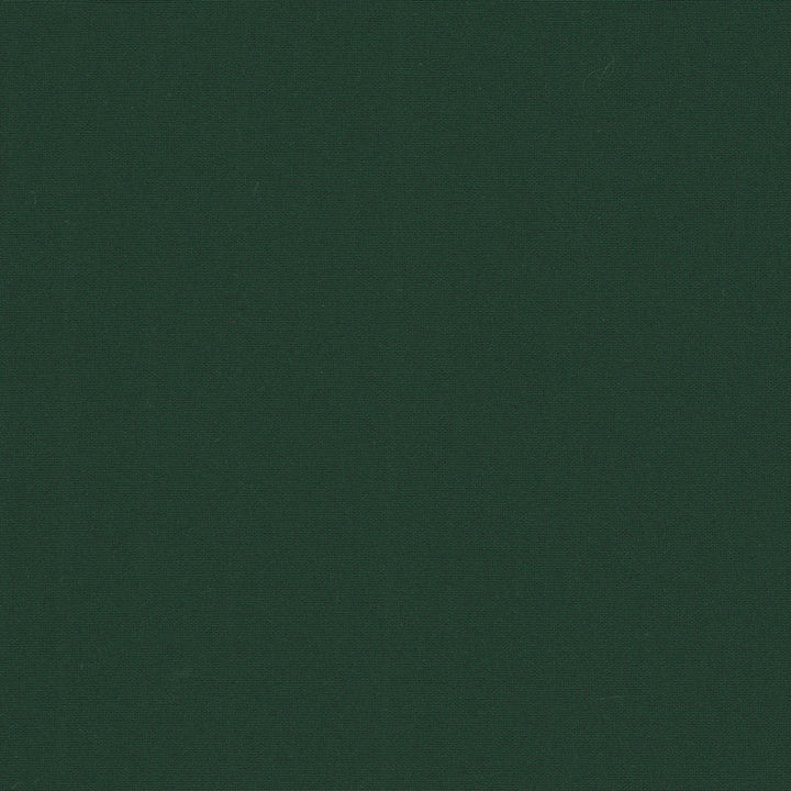 Belcourt Balsam 472730 by PK Lifestyles Fabric PKL Studio June 2025 52% Fire Retardant Polyester, 48% Polyester Turkey 18000 H: N/A, V: N/A 57 - Fabric Carolina -