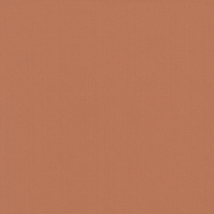 Belcourt Papaya 472745 by PK Lifestyles Fabric PKL Studio June 2025 52% Fire Retardant Polyester, 48% Polyester Turkey 18000 H: N/A, V: N/A 57 - Fabric Carolina -