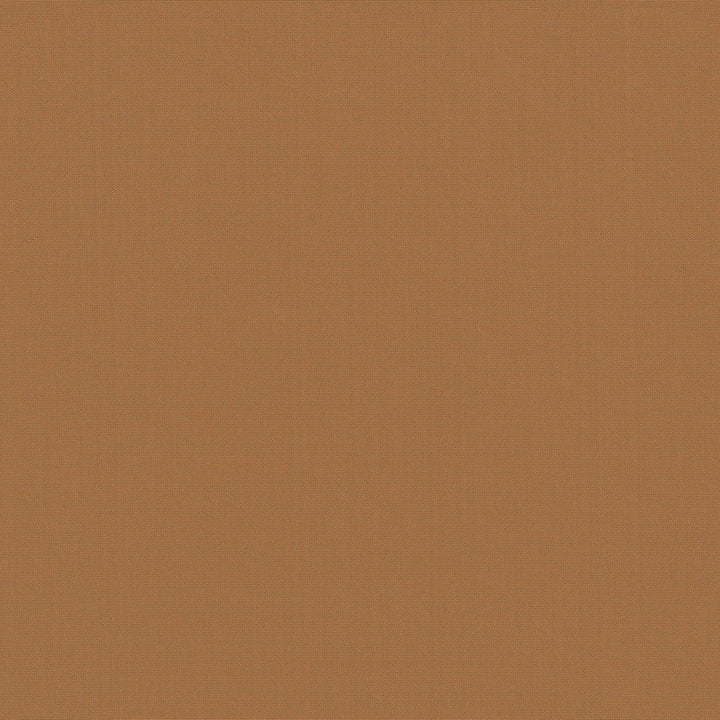Belcourt Sienna 472746 by PK Lifestyles Designer Fabric PKL Studio June 2025 52% Fire Retardant Polyester, 48% Polyester Turkey 18000 H: N/A, V: N/A 57 - Swanky Fabrics -