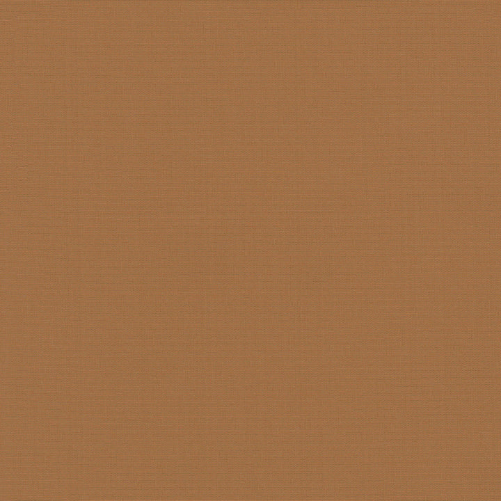 Belcourt Sienna 472746 by PK Lifestyles Fabric PKL Studio June 2025 52% Fire Retardant Polyester, 48% Polyester Turkey 18000 H: N/A, V: N/A 57 - Fabric Carolina -
