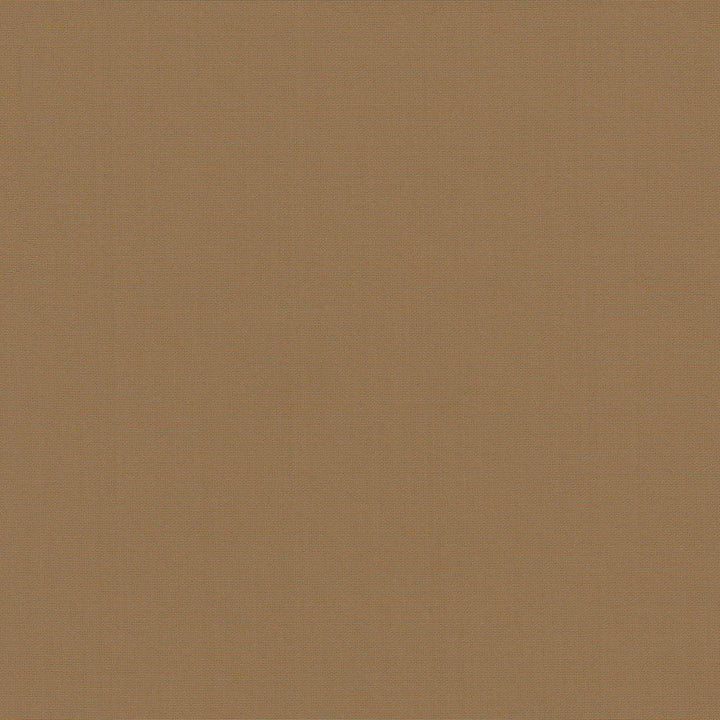 Belcourt Cgnac 472747 by PK Lifestyles Designer Fabric PKL Studio June 2025 52% Fire Retardant Polyester, 48% Polyester Turkey 18000 H: N/A, V: N/A 57 - Swanky Fabrics -