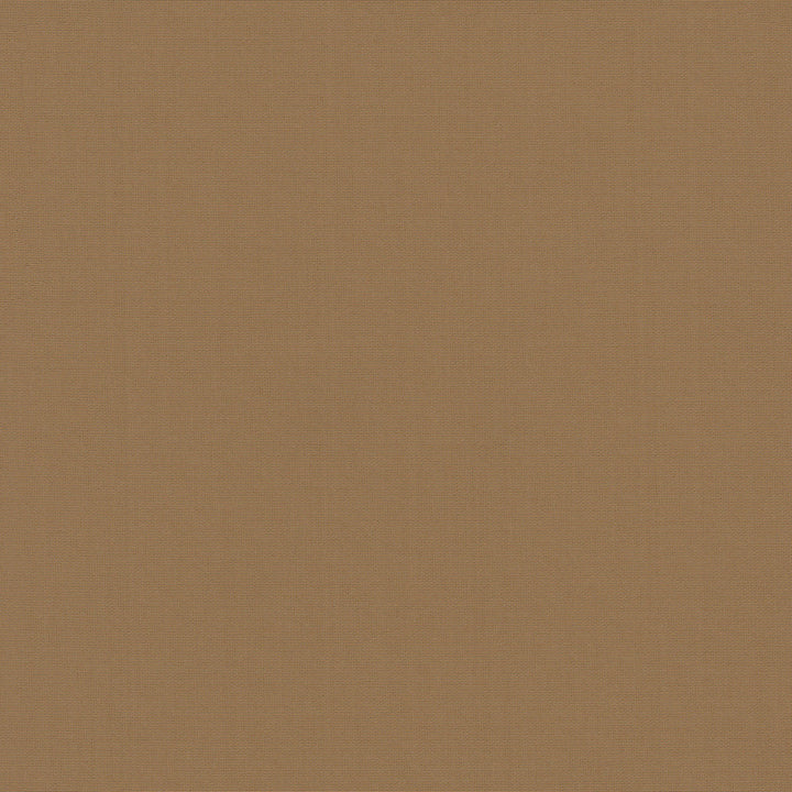 Belcourt Cgnac 472747 by PK Lifestyles Fabric PKL Studio June 2025 52% Fire Retardant Polyester, 48% Polyester Turkey 18000 H: N/A, V: N/A 57 - Fabric Carolina -