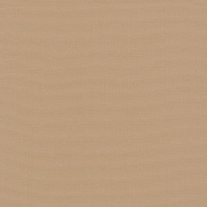 Belcourt Peach 472748 by PK Lifestyles Fabric