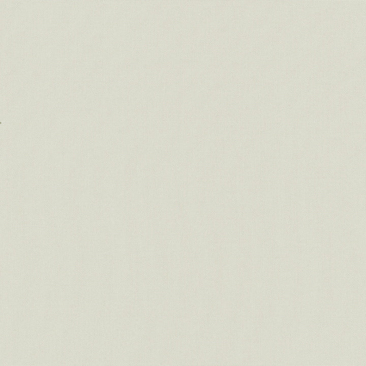 Belcourt Bone 472751 by PK Lifestyles Designer Fabric PKL Studio June 2025 52% Fire Retardant Polyester, 48% Polyester Turkey 18000 H: N/A, V: N/A 57 - Swanky Fabrics -