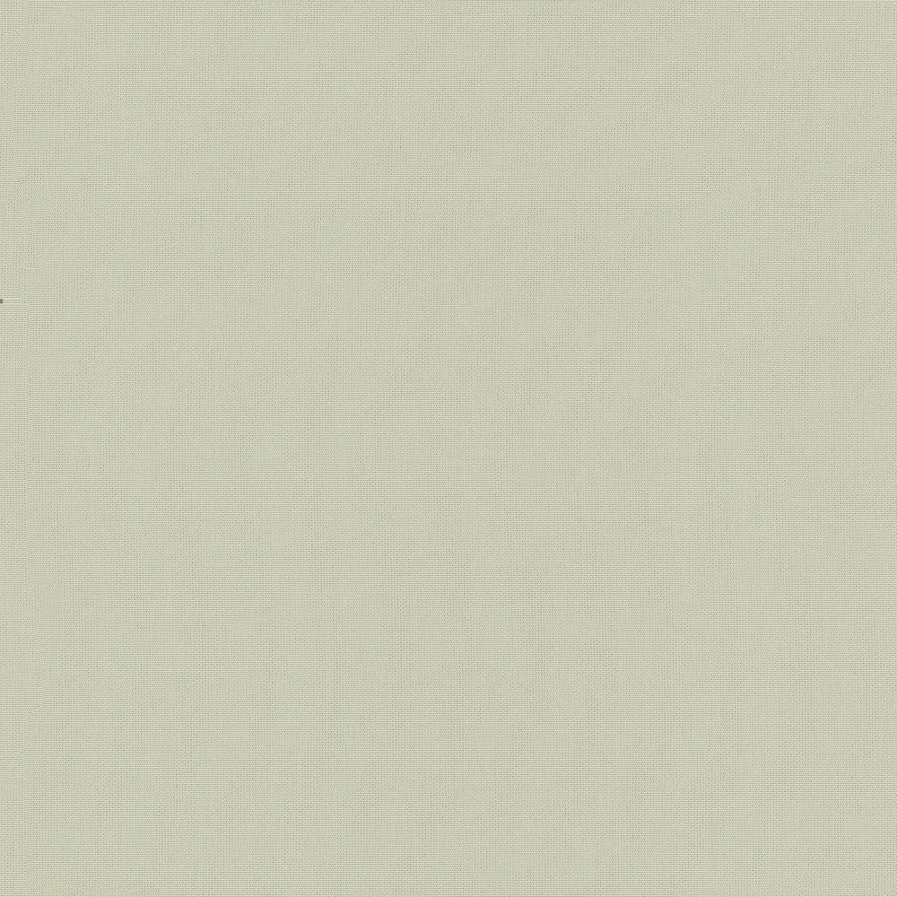 Belcourt Vanilla 472752 by PK Lifestyles Fabric PKL Studio June 2025 52% Fire Retardant Polyester, 48% Polyester Turkey 18000 H: N/A, V: N/A 57 - Fabric Carolina -