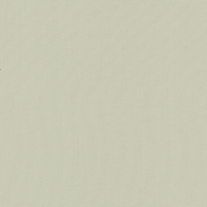 Belcourt Vanilla 472752 by PK Lifestyles Fabric PKL Studio June 2025 52% Fire Retardant Polyester, 48% Polyester Turkey 18000 H: N/A, V: N/A 57 - Fabric Carolina -