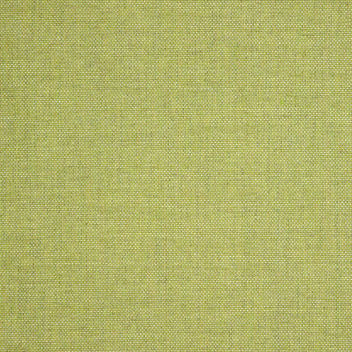 40487-0023 Idol Leaf by Sunbrella Fabric Sunbrella Upholstery Sunbrella Acrylic USA or Imported 5-Year Horizontal: 14 in. and Vertical: 18 in. 54 in. - Fabric Carolina -