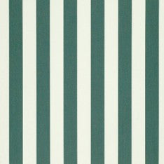 4806 Forest Green / Natural 6 Bar by Sunbrella Fabric
