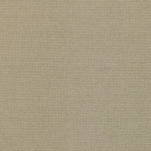 Kravet Basics 4807-116 by Kravet Basics Fabric