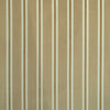 Velveteen Stripe Sand 480835 by PKL Studio Fabric