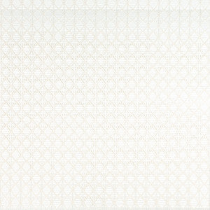 Intersecting Ivory by Kravet Contract Fabric