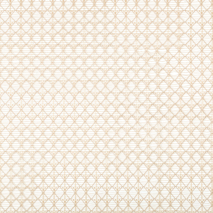 Intersecting Flax by Kravet Contract Fabric POLYESTER - 100% Turkey Horizontal: 1 and Vertical: 1 109 - Fabric Carolina -