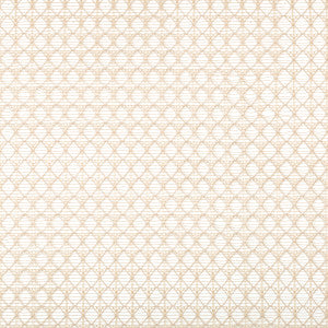 Intersecting Flax by Kravet Contract Fabric
